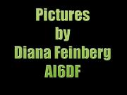 SlideTitle DianaF